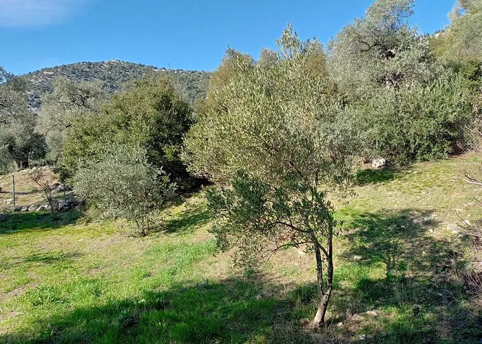 Diana Casa rural